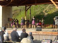 Zenest�di� fell�p�sei