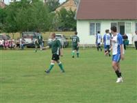 Ad�sztevel-Nemesg�rzs�ny tartal�k m�rk�z�s